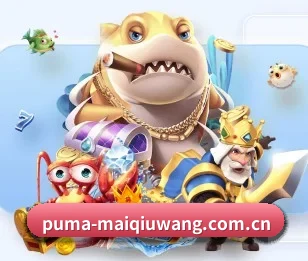 了解平台 - 体育资讯内容服务 | maiqiuwang
